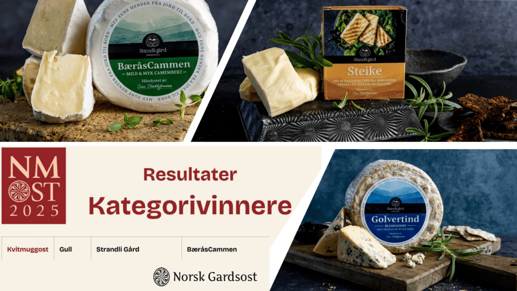 Samlebilde Strandli Gård_TH