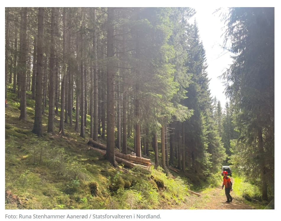 Skjermbilde_26-1-2026_134719_www.statsforvalteren.no