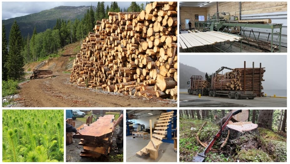 Skjermbilde_30-1-2026_92724_www.statsforvalteren.no