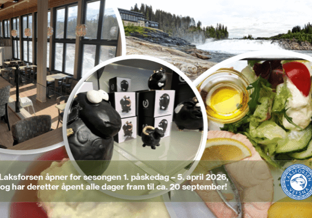 Laksforsen 2026