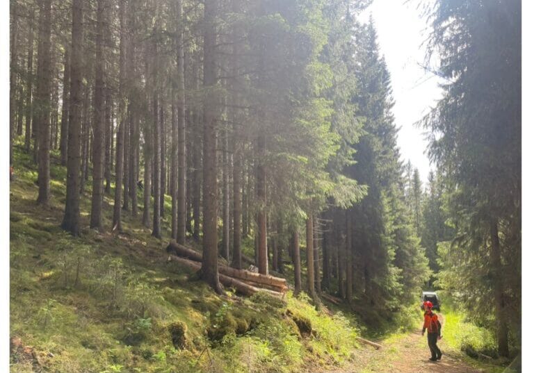 Skjermbilde_26-1-2026_134719_www.statsforvalteren.no