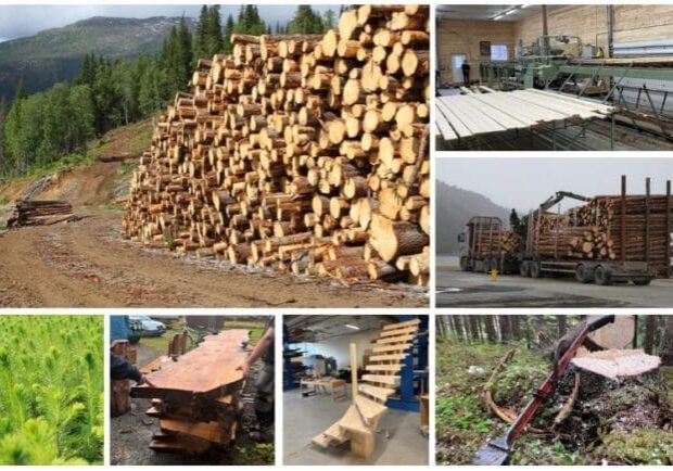 Skjermbilde_30-1-2026_92724_www.statsforvalteren.no